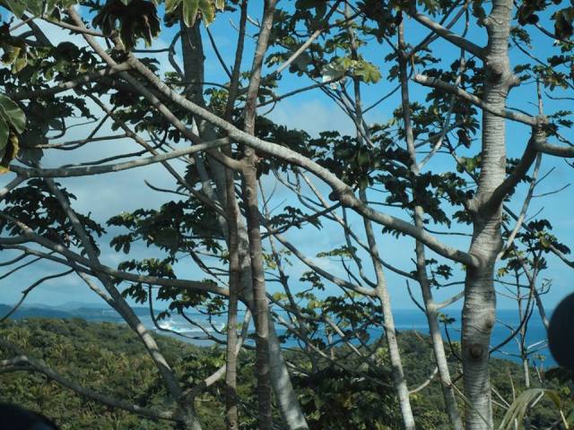 12301762_10154479524373298_8677480355630557216_n